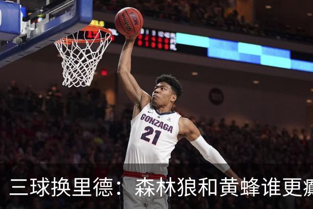 三球换里德：森林狼和黄蜂谁更癫？！