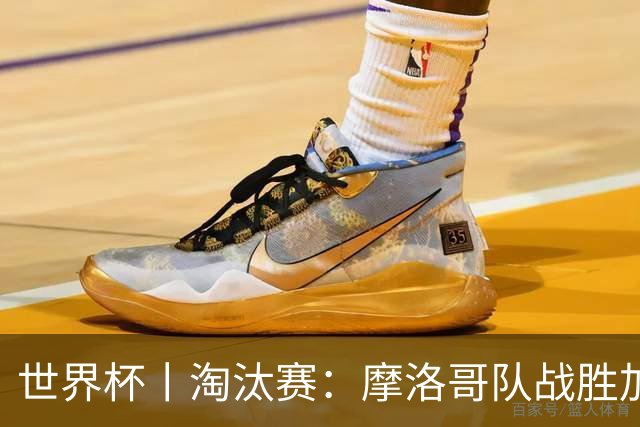 世界杯丨淘汰赛：摩洛哥队战胜加拿大队
